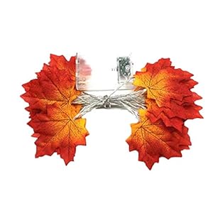 Nicedier Lichtsnoer, 30 leds, verlicht, Apple Leaf lichtketting, waterdicht, valbestendig, seizoensdecoratie voor…