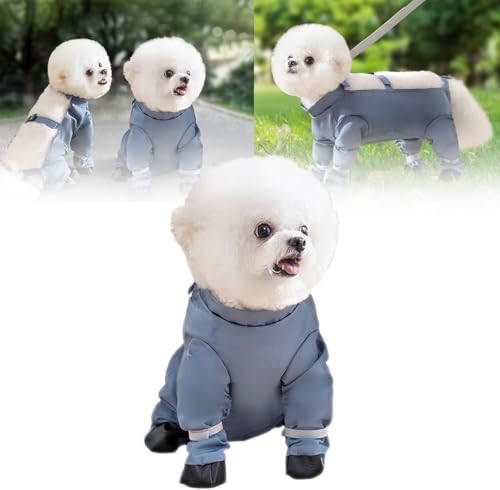 phpcA2025N pTXy_[u[cAhpV[YMXA~ߌpیV[Yi^E^E^pj JEΉ UEnCLOp (O[ M)