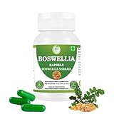 Morsan Healthcare Boswellia Kapseln 500mg – Weihrauch Extrakt (Boswellia serrata) | Pflanzliche Nahrungsergänzung | Vegan & Natürlich | Premium Qualität | Packung mit 1