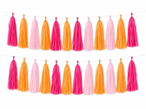 Image of Pink Orange and Rose red Tissue Paper Tassels Tassel Garland Banner for Birthday Party Decorations,Pack of 15