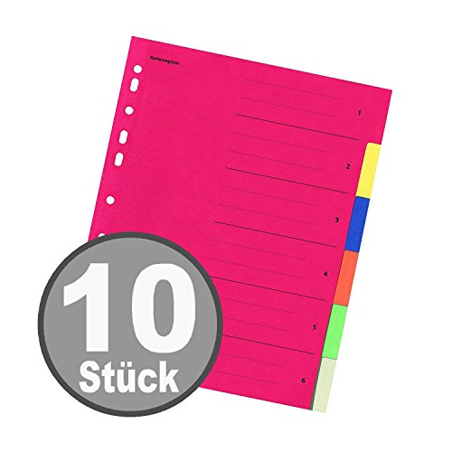 Falken Karton-Register für DIN A4 24 x 29,7 cm volle Höhe mit Organisationsdruck (6-teilig | 10er Pack)