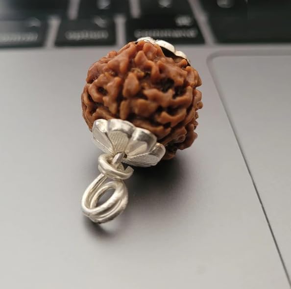 16mm Cheh Mukhi Rudraksha Original Certified 6 Face Rudraksha Pendant छह मुखी रुद्राक्ष Blessed Mahadev For Locket