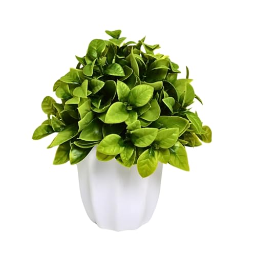 Image of fancymart Artificial Citrus Leaves Green Bunch in Pot - 22 cm Height, Perfect for Tabletop Decoration | Ideal for Home & Office Decor