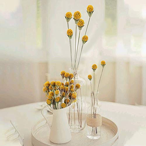 SLFYEE 36PCS Fiori Secchi Decorativi Bouquet Fiori...