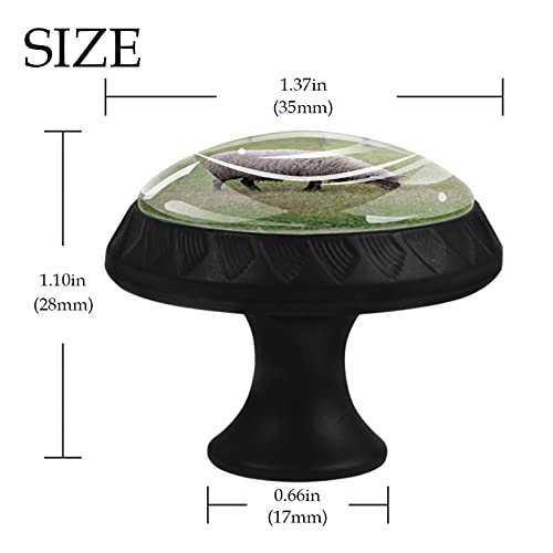 Boutons de tiroir mouton pour relooker facilement une commode usée - 5
