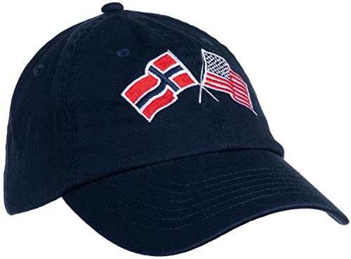 Image of Ann Arbor T-shirt Co. American Friendship Nations Flag Baseball Low Profile Dad Hat for Men Women