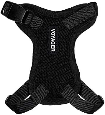 voyager cat harness
