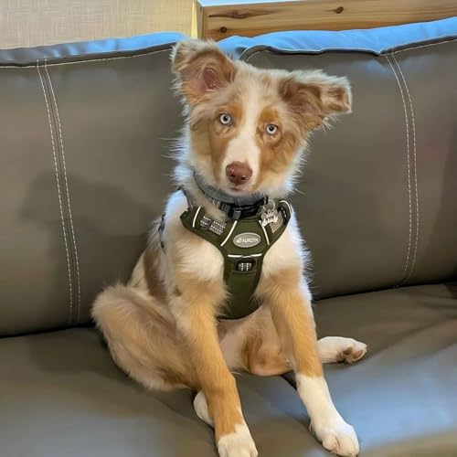 Image of AUROTH Tactical Dog Harness for Large Dogs No Pull Adjustable Pet Harness Reflective K9 Working Training Easy Control Pet Vest Military Service Dog Harnesses