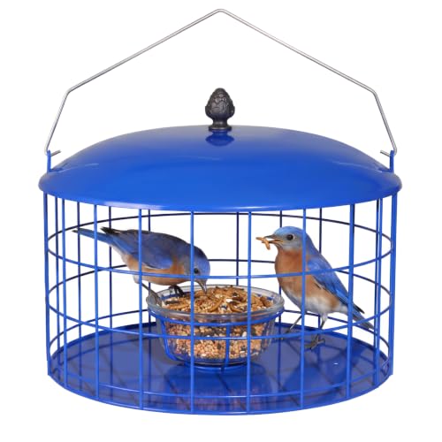 Veehoo Caged Bluebird Feeder, wide platform