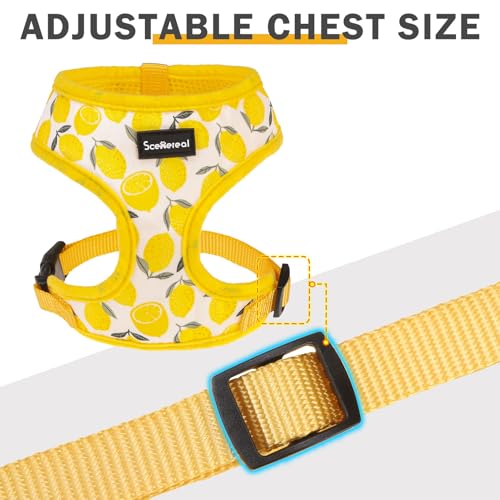SCENEREAL Small Dog Harness and Leash Set, Lemon Yellow, S by SCENEREAL - Used condition - Image 4