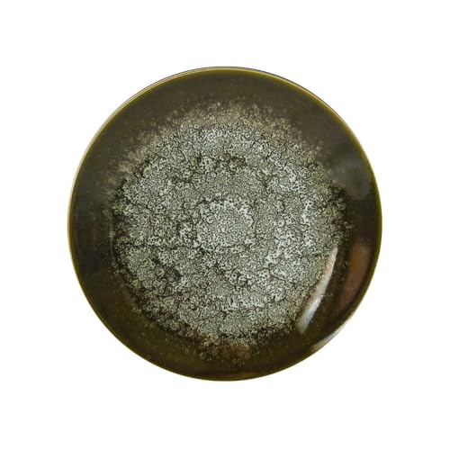 [美濃焼] テラグラーズ ディナープレート オリビエ 1客