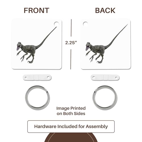 Llavero Deinonychus 3dRose de 2.25 pulgadas, evite perder sus llaves con este pack de 2 5
