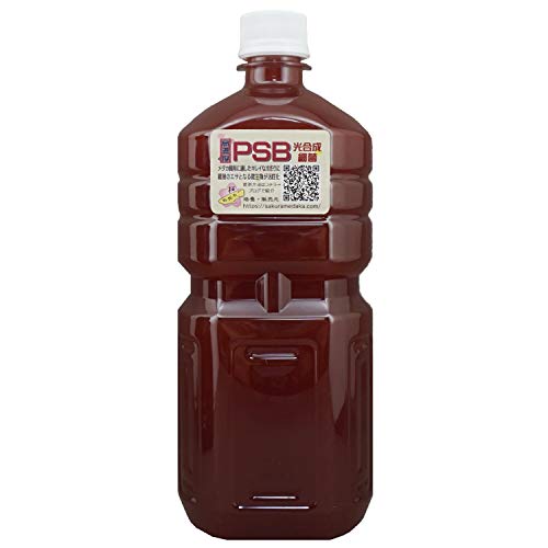 簡単培養方法 タマミジンコを簡単に増やせる餌１５選 改訂版 Nine G Cell