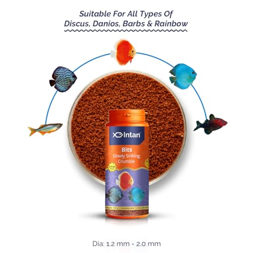 Image of Fisherman'S Intan Bits Slow Sinking Crushable Crumble Fish Food | Crumble for Discus, Danios, Barbs & Rainbows Fish | Large Pack 120 Gm, Crumble Size 1.2 to 2.0 mm Dia, Pack of 1