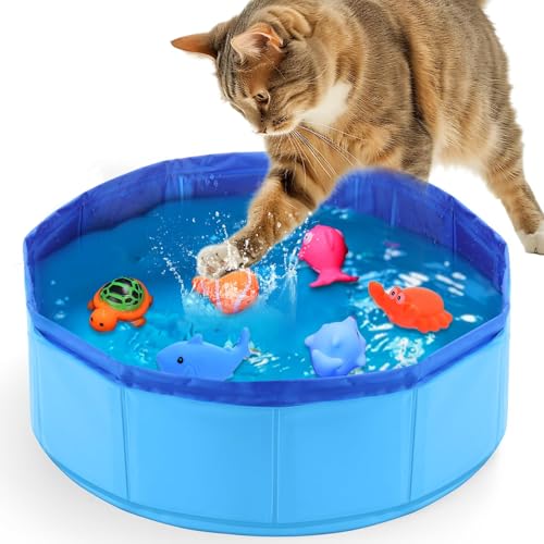 Katzenpool 30×10cm Hundepool Klein Planschbecken für Katzen Faltbarer Katzen Pool Faltbarer Pool für Hund und Katze Mini Pool für Kätzchen und Welpen zum Spielen und Baden (Blau)