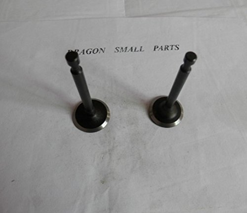 Generic in.& EXH. Valve Set for Honda GX160 GX200 168F 170F Inlet Valve Exhaust Valve Part# 14711-ZF1-000 14721-ZF1-000