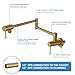Gold Pot Filler Faucet - Lordear Stainless Steel Wall Mount Over Stove Fot Filler Folding Faucet with Double Joint Swing Arms