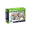Tedco 4D Vision Dog Anatomy Model