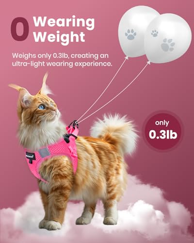 Image of FAYOGOO Cat Harness and Leash Set, Escape-Proof Step-in Vest for Walking | Step-in mesh vest, velcro + buckle + D-ring; reflective strips; includes matching leash; 5 sizes