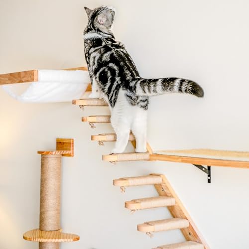Fukumaru Kletterwand für Katzen, Katzentreppe Wand, Wandliege aus Massives Gummiholz, mit Juteseil für kratzen von Rechts nach Links, für Katzen bis 15 kg mit Juteseil zum Spielen