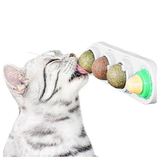 AMSGANK Katzenminze Balls Spielzeug für Katze, 4 Stück Katzenminze Balls für Katzenwand Natürliches Drehbares Kätzchen Spielzeug, Katzen Zahnreinigung Dentales Kauspielzeug
