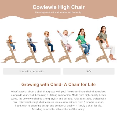 Image of Cowiewie New Upgrade 3-in-1 Convertible Wooden High Chair for Babies & Toddlers 10 Levels Adjustable 3-Tier Remove 2 Waterproof Cozy Cushions Black