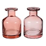 HOMSFOU Glass Diffuser Bottles: 2 Pcs Empty Reed Diffuser Container Refillable Aromatherapy Jars Replacement Bottles for DIY Home Fragrance & Essential Oils, 150ml/5oz (Pink)