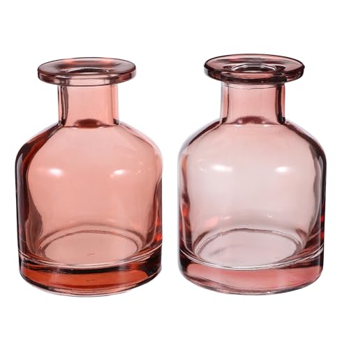 HOMSFOU Glass Diffuser Bottles: 2 Pcs Empty Reed Diffuser Container Refillable Aromatherapy Jars Replacement Bottles for DIY Home Fragrance & Essential Oils 150ml/5oz (Pink)