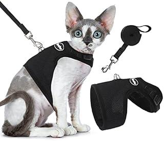 BINGPET Escape Proof Cat Harness and Lead Set, Escape-Proof Cat Kitten Harness with Leash Set for Walking - Adjustable Soft Mesh Holster Style - Best for Kitten Walking Outdoor Walking