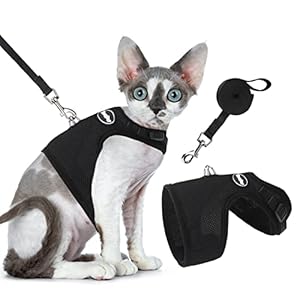 BINGPET Escape Proof Cat Harness and Leash – Adjustable Soft Mesh Holster Style – Best for Kitten Walking