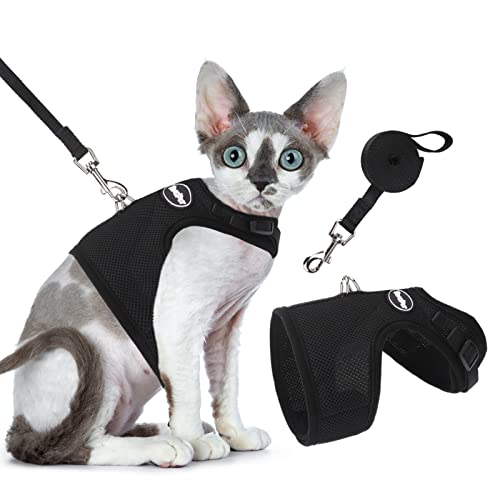BINGPET Escape Proof Cat Harness and Lead Set, Escape-Proof Cat Kitten Harness with Leash Set for Walking – Adjustable Soft Mesh Holster Style – Best for Kitten Walking Outdoor Walking