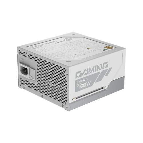 Image of GIGABYTE Gaming 750GM PG5 ICE ATX 3.1 & PCIe 5.1 Ready Fully Modular 750W Power Supply - 80 Plus Gold & Cybenetics Platinum Certified, Dual Color 12V-2x6 Cable, T-Guard, 10 Year Warranty - White