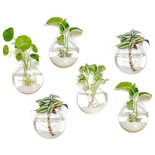 Kingbuy Wall Hanging Glass Planter Propagation Station - 6 Pack Oblate Globe Wall-Mounted Vases for Indoor Hydroponic Air Plants Bathroom Living Room Office Decor Gift for Women, Mom, Plants