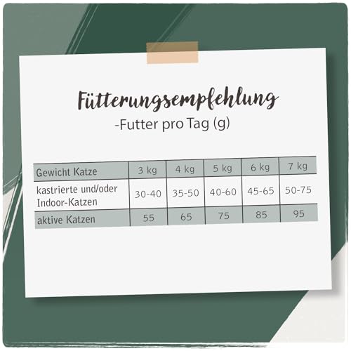 Venandi Animal – Premium Katzenfutter – Lachs, mit viel frischem Fisch, Trockenfutter, getreidefrei 1er Pack (1 x 300g)