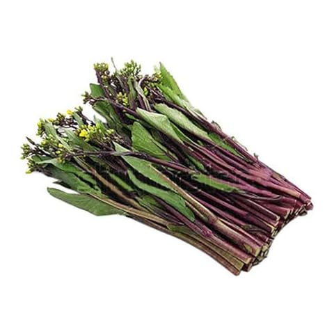 Kosaitai Raab - Brassica Rapa VAR Purpurea Seeds Cover