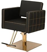 Buy-Rite Zara Styling Chair for Professional Hair Stylists, Beauty Salons and Barbers, Gold Stitc...
