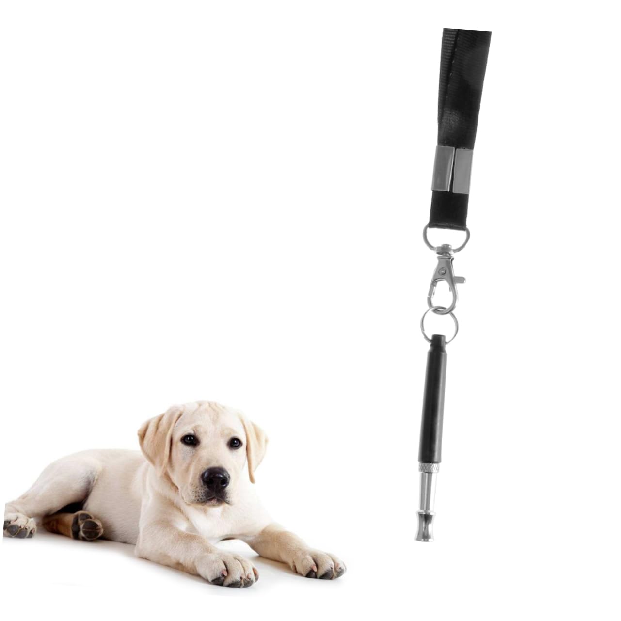 POPETPOP Dog Sound for Training Stop Barking Device with Frequency Safe and Humane Dog Training Kits for Obedience and Behavior Correction