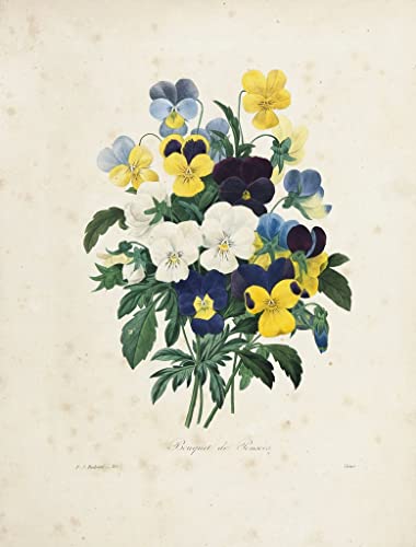 Toile Tableau Vintage Bouquet de Pensées de Pierre Redouté pour Décor de Couloir en 60x90cm
