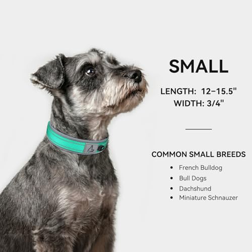 Image of Joytale Dog Collar for Small Dogs, Neoprene Padded and Adjustable, Reflective Wide Heavy Duty Pet Collars with Durable Metal Belt Buckle for Walking, Teal, S