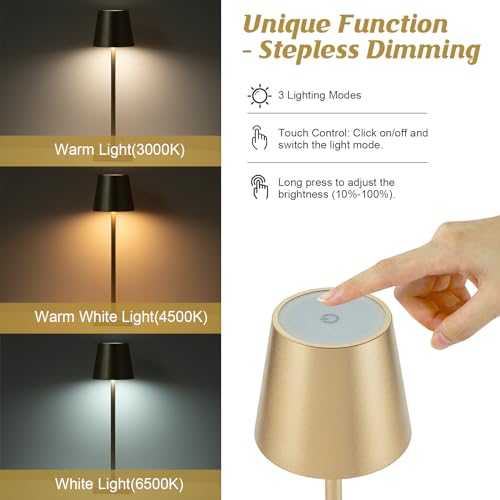 HASUN Rechargeable LED Table Lamp - 2 Pack, Waterproof, 5200mAh Battery, 3 Color Dimming, Aluminum Shell (Gold)