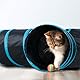 Relaxdays Katzentunnel, Faltbare Katzenröhre, HBT: 25 x 92 x 92 cm, Spieltunnel, Katzenzubehör, mit 4 Wegen, Nylon, bunt