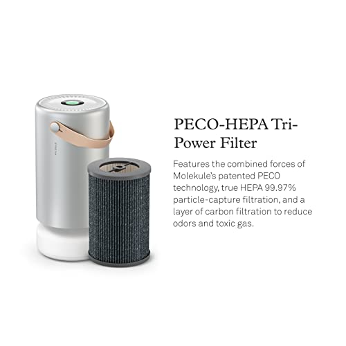 Molekule Peco-Hepa Tri-Power Filter Air Pro | Air Purifier Replacement Filters With Peco And Hepa Technology, Eliminates Smoke, Mold, Dust, Bacteria & Other Pollutants For Clean Air - Gray #TOP1