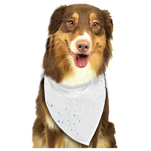 RAHJK Bandana para Perro, Pañuelos para Perro, Reversibles, Ajustables, Triangulares, Bufandas para Mascotas Gatos Moléculas de ADN