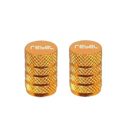 Bouchons de valve de pneu de roue de moto Honda Rebel 300 500 CNC