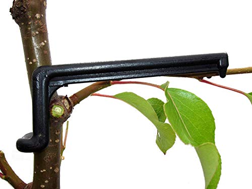 Fruit Tree Limb Spreader | Form Stronger Branches on Apple and Other Fruit Trees | Pack of 25 | Made in Germany