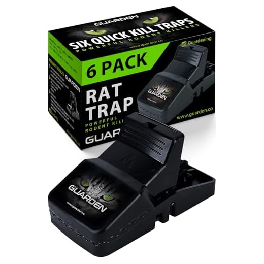 Rat Traps that Work (6 Pack) - Easy to Bait and Set, Reusable Best Rat Traps that Work Indoors and Out, Large Mouse Traps for Rats, Chipmunks, Vole Traps, Rodent Traps for Attic, Snap Traps Rats Trap
