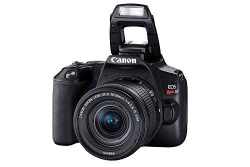 Kit Premium Canon EOS Rebel SL3 4K + Lentes 18-55mm e 55-250mm IS STM