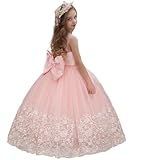 ABAO SISTER Flower Girl Dress Lace Embroidery Princess Pageant Ball Gown Kids First Communion Dresses (Size 2, Pink)