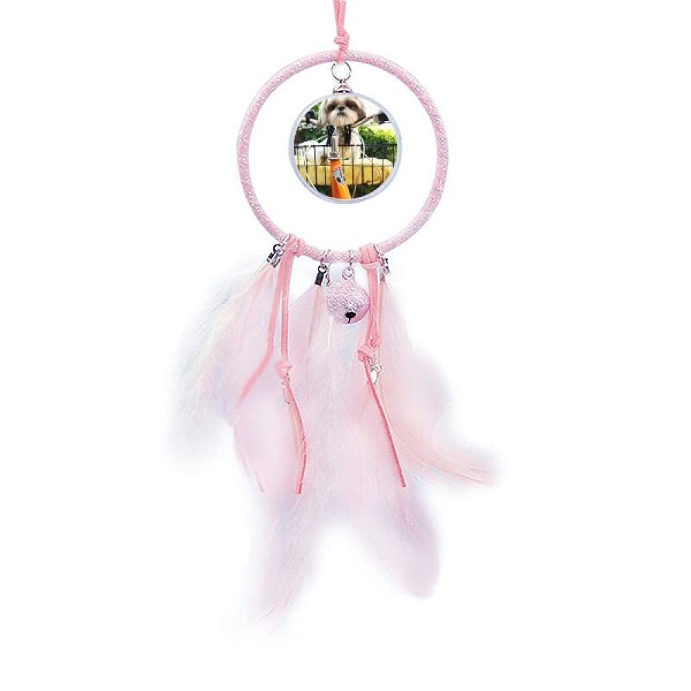 Dream Catcher Chien Animal de Compagnie Décoration - 5