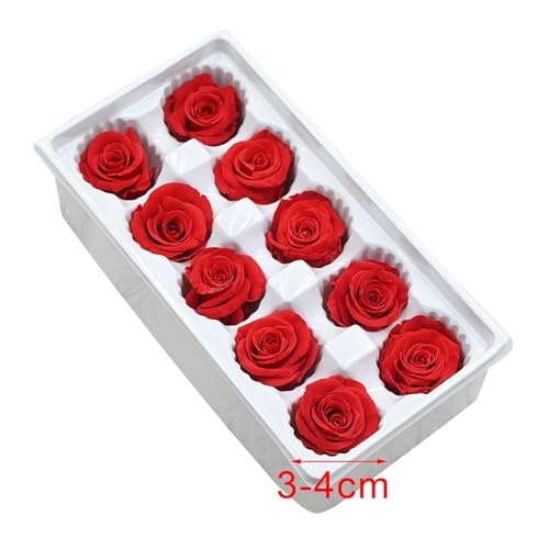 10 cabezas de flores de rosa secas eternas miniatura 3